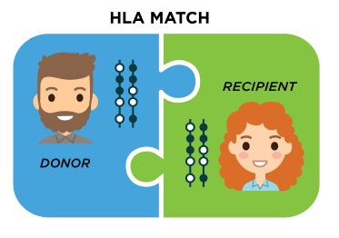 آزمایش HLA به روش سرولوژیک