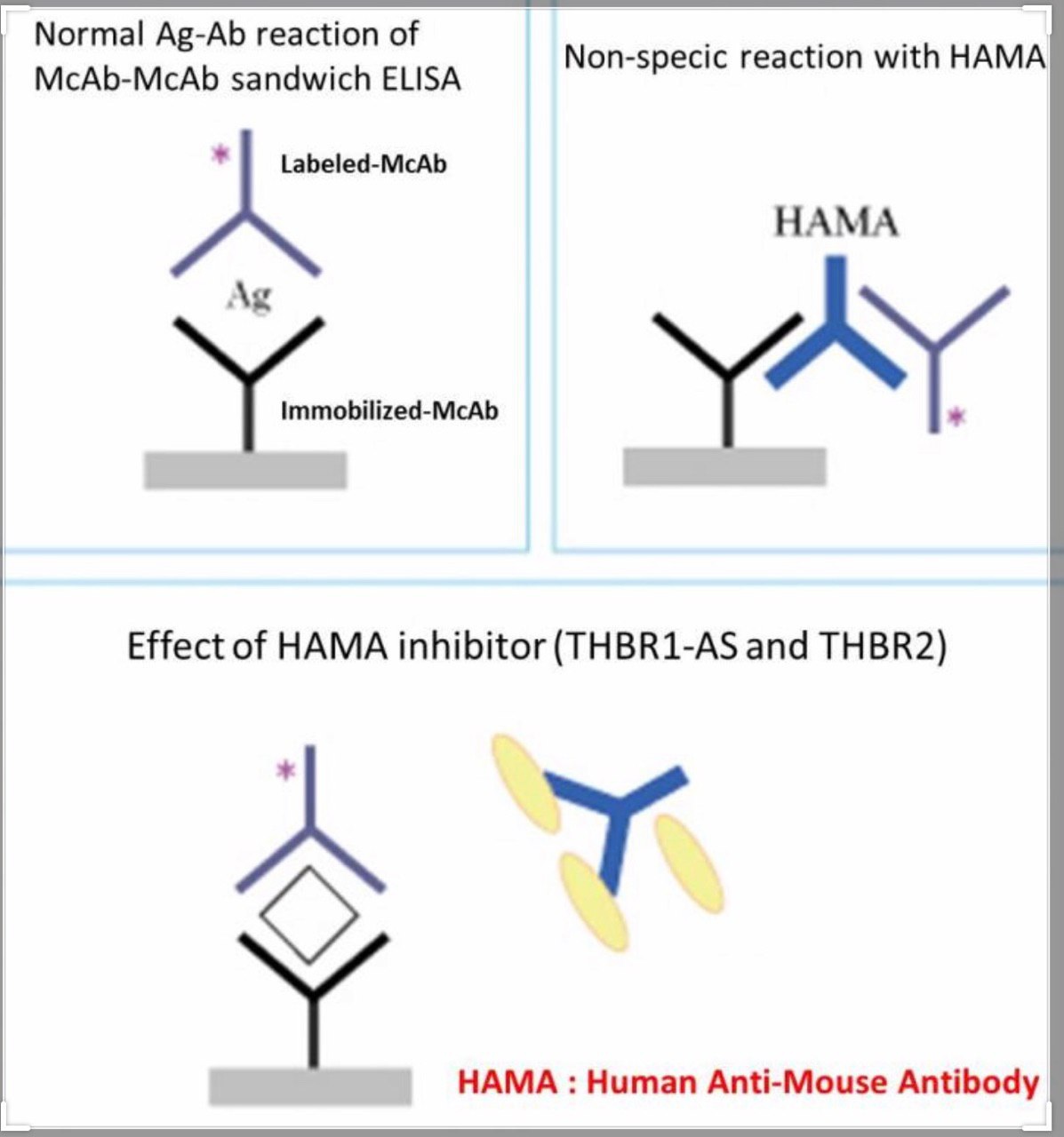 استراتژیهای خنثی سازی اثر HAMA در روشهای ایمونواسی