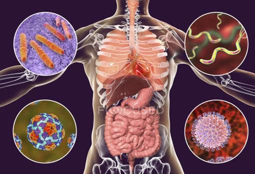 میکروبیم در بیماری‌های خود ایمن روماتوئیدی (بخش اول)