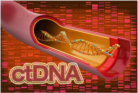 غربالگری سریع و دقیق سرطان با استفاده از ctDNA