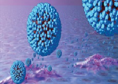 عفونت ویروس پاپیلوم انسانی (HPV) و سرطان دهانه رحم 