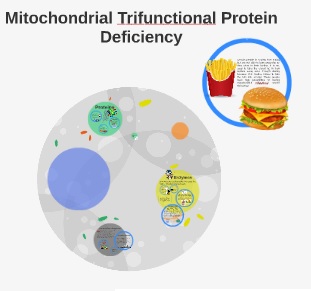 نقص پروتئین سه کاره  میتوکندریایی (Trifunctional protein deficiency, TFP)