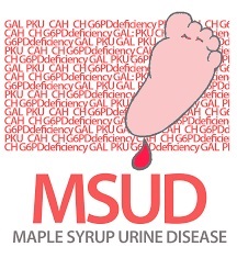 بیماری ادرار شربت افرا (MSUD Maple syrup urine disease)