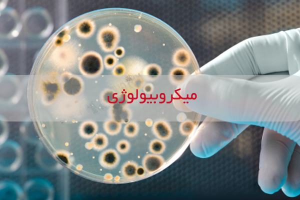  آزمایش های تشخیصی میکروبشناسی