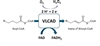 نقص آنزیم آسیل کوآ دهیدروژناز زنجیره بسیار بلند (Very long-chain acyl-CoA dehydrogenase deficiency, VLCAD)