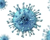 تشخیص عفونت‌های ناشی از سیتومگالوویروس (CMV)